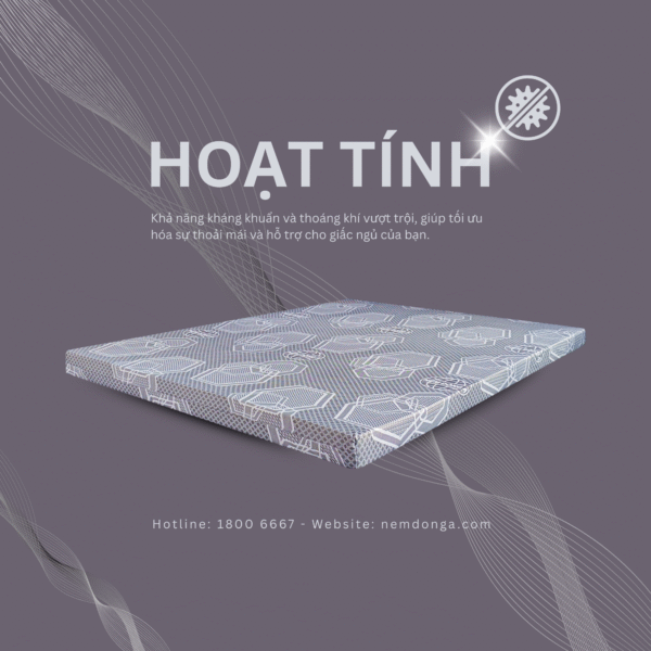 Nệm Đông Á HOẠT TÍNH