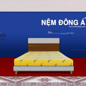 nệm cao su non