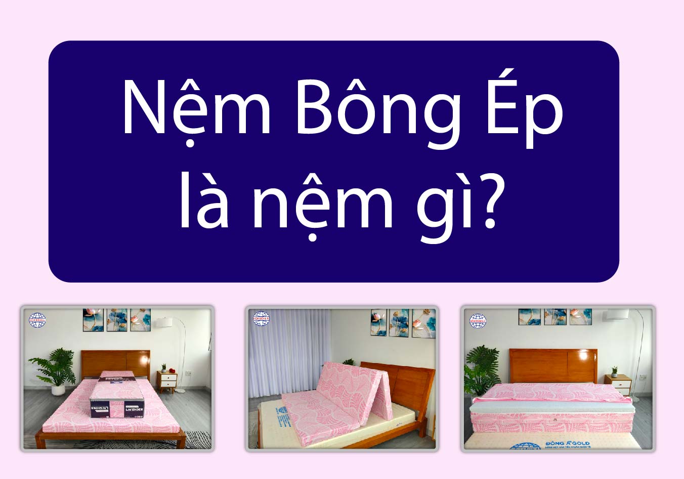 nệm bông ép đông á