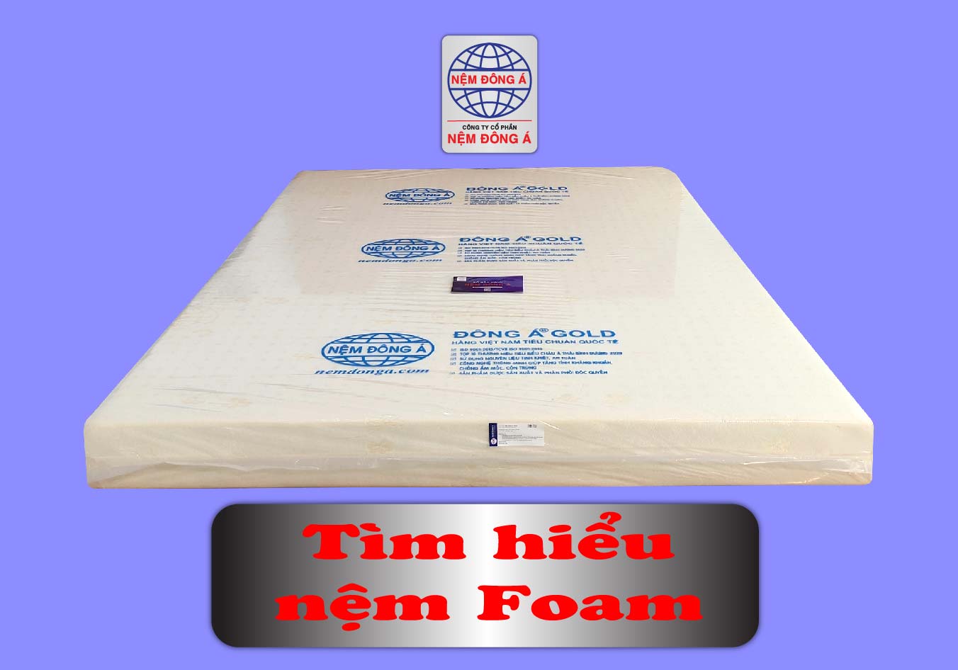 nệm foam chất lượng 2024