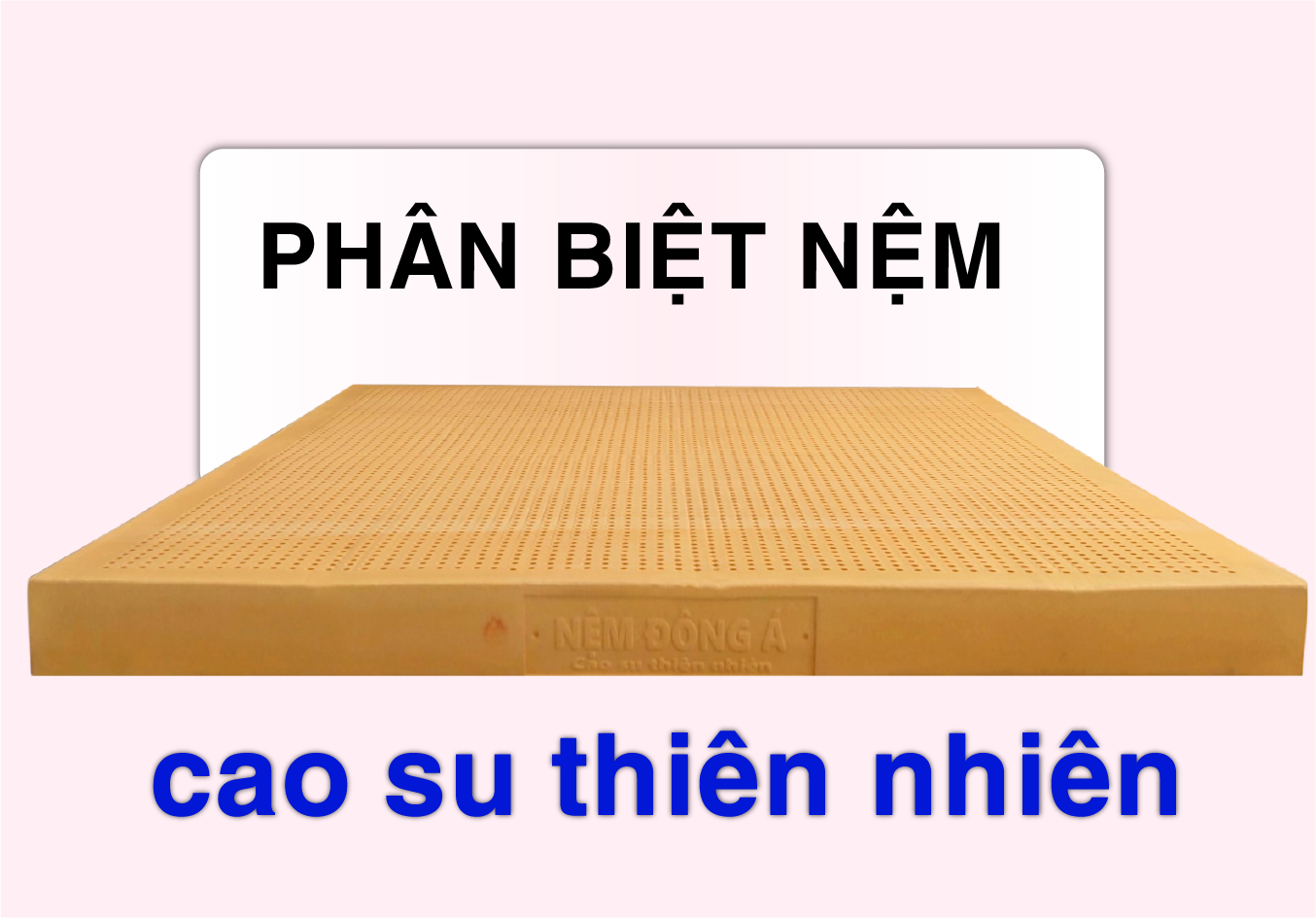 cách phân biệt nệm cao su thiên nhiên