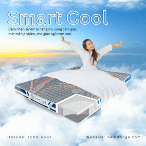 Nệm Đông Á Smart Cool