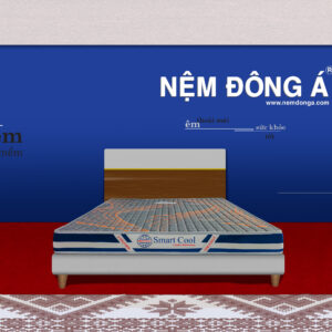 nệm foam + cao su thiên nhiên